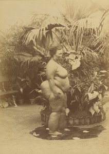 (Mulher africana) de Napoleon Bonaparte